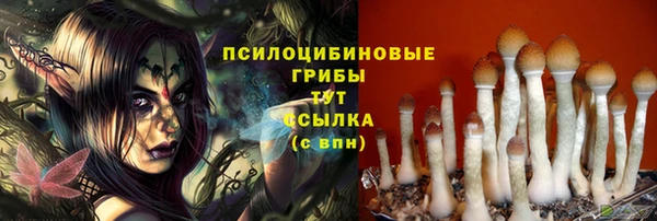 jwh Алзамай