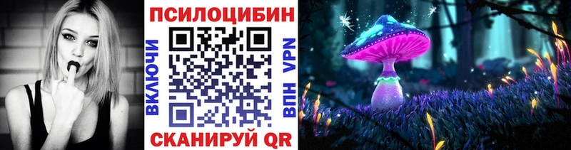 купить  сайты  Николаевск  KRAKEN ссылка  Галлюциногенные грибы прущие грибы 