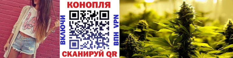 как найти наркотики Николаевск МАРИХУАНА Amnesia