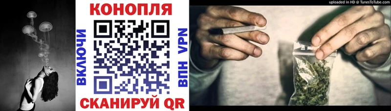 Канабис план Николаевск